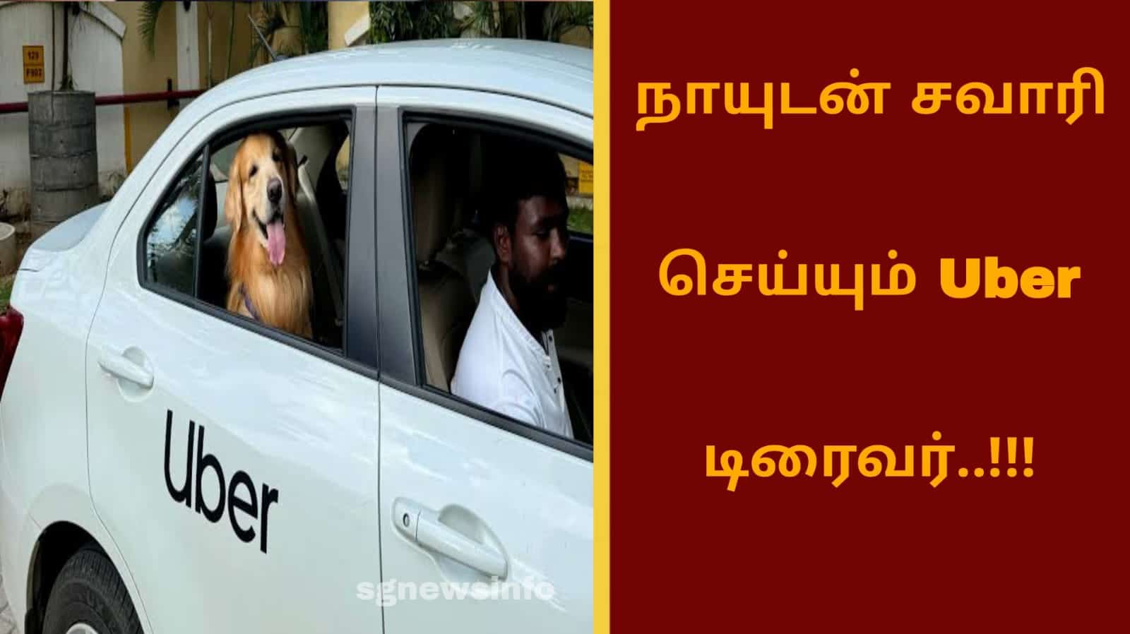 நாயுடன் சவாரி செய்யும் Uber டிரைவர்..!!!