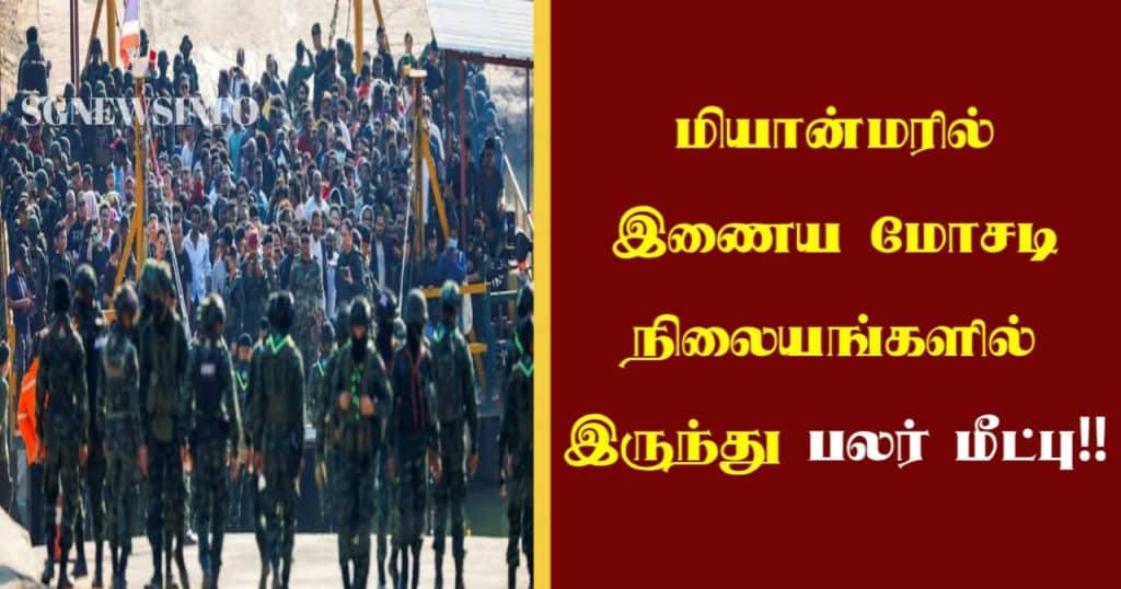 தேனீக்கள் பற்றிய சில சுவாரஸ்யமான தகவல்கள்!! இதோ!!